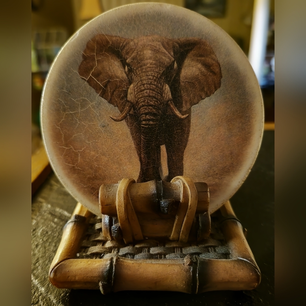 Elephant Art Coaster Set